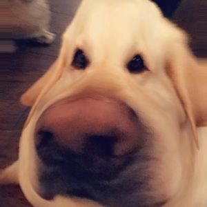 Meet your Posher, Caleb